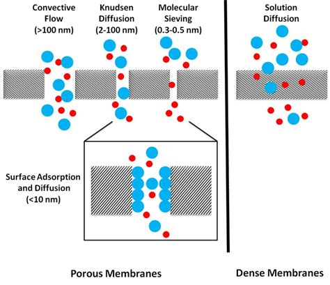 gas analysis biology|gas analysis of porous media.